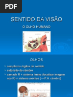 VISÃO