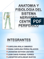 Anatomia y Fisiologia Del Sistema Nervioso Central.m