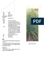 Bawang Daun PDF