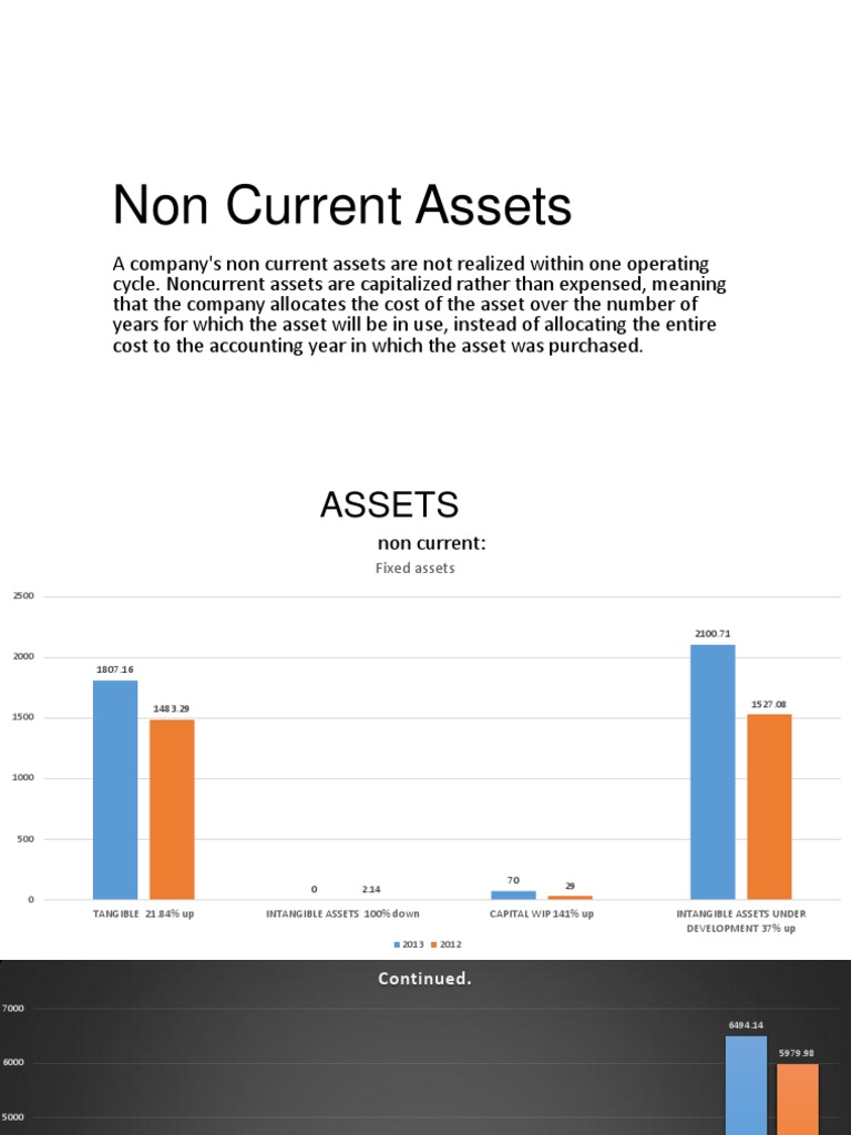 Non-Current Assets Overview and Metrics | PDF