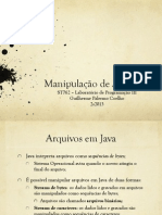 Manipulação de Arquivos: ST762 - Laboratório de Programação III Guilherme Palermo Coelho 2s2013