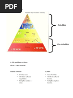A sociedade romana - história 7° ano