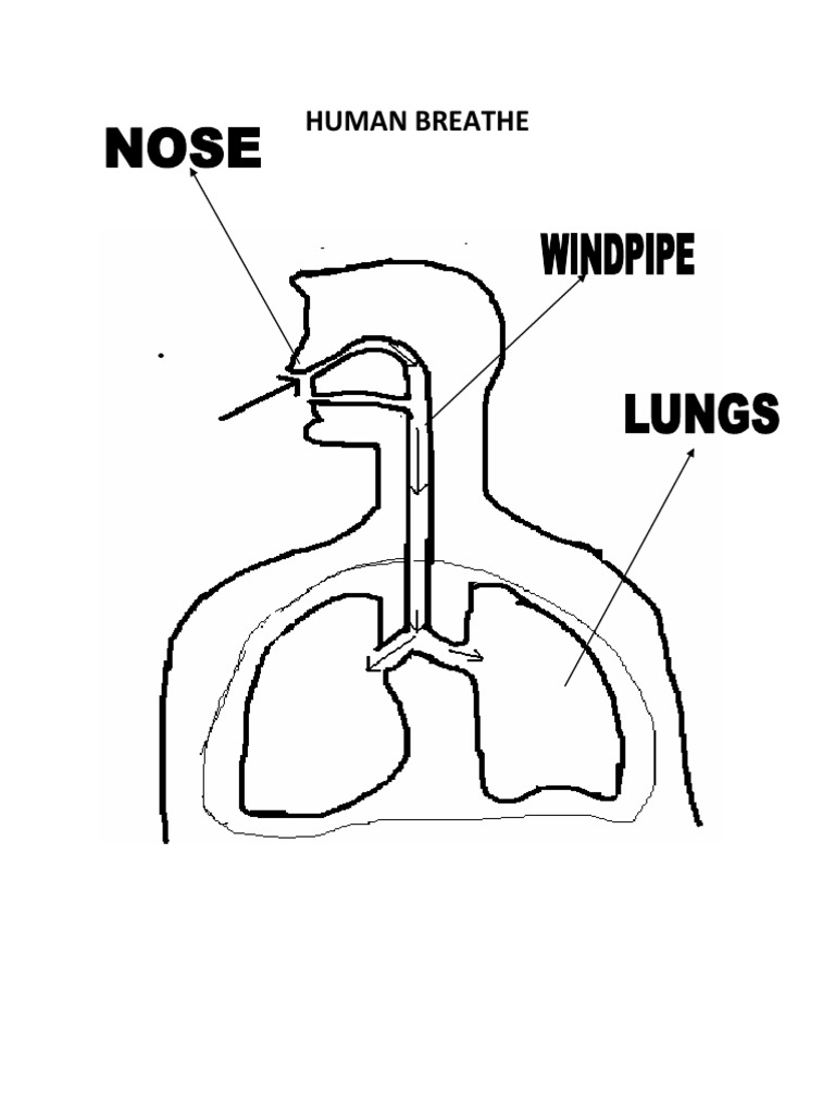 Inhale | PDF