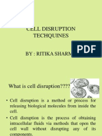 Cell Disruption Techquines: By: Ritika Sharma