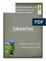 O cultivo e uso do tabaco no Brasil ao longo da história