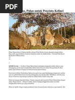 Download tugas bahasa jepangdocx by Rahmadona Nanda SN189618072 doc pdf