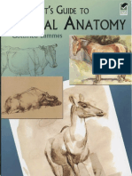 Gottfried Bammes - The Artist's Guide To Animal Anatomy - 2004