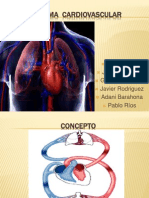 Sistema Cardiovascular