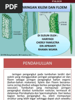 Download Struktur Penyusun Xilem Dan Floem by shella Shesya Dhavino SN189634535 doc pdf