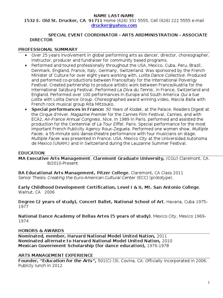 Functional Resume Sample PDF Business Leisure