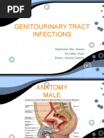 Download Genitourinary System by raene_bautista SN18966608 doc pdf