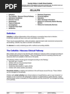 Cellulitis infection treatment guidelines picture