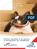 Vetoryl Client Brochure Spanish