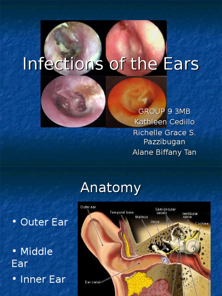 Ears&Mouth PDF Ear Human Tooth