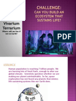 Vivarium Terrarium