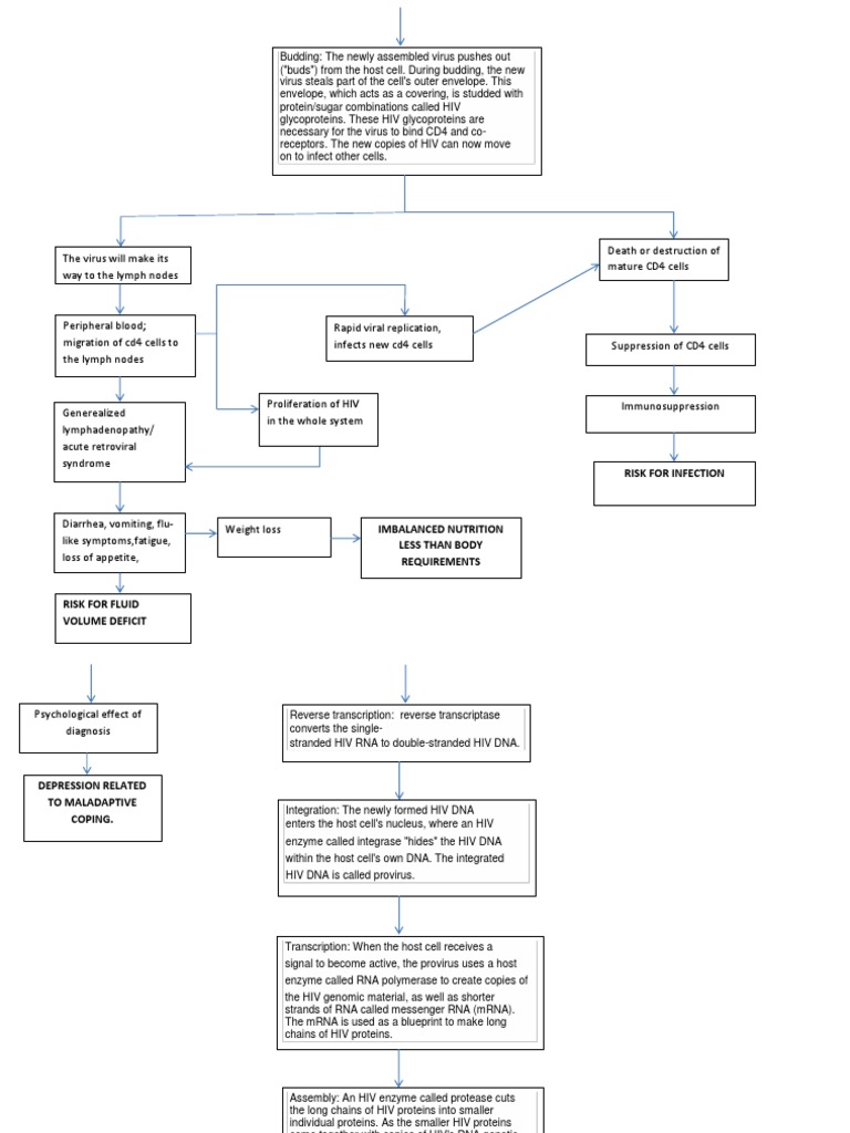 HIV Pathophysiology