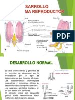 Desarrollo Del Organo