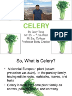 Celery: by Gary Teng NF 25 - 7 PM Wed MT - Sac College Professor Betty Crocker