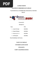 Download UJI SENSITIVITAS ANTIMIKROORGANISME DENGAN METODE DIFUSIdocx by Pranita Widyanti SN189833079 doc pdf