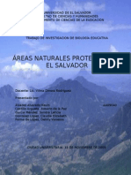 Areas Naturales