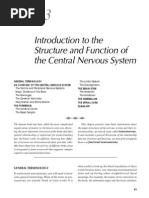form scholarship lani application for Structure   & Neuron  Lobe Function  Parietal Brain