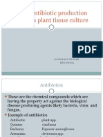 Plant Antibiotic Production Through Plant Tissue Culture: Dushyant Kumar BSA-08-613