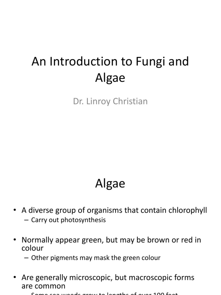 Differences Between Algae and Fungi | PDF