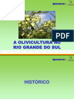 A Olivicultura No Rio Grande Do Sul