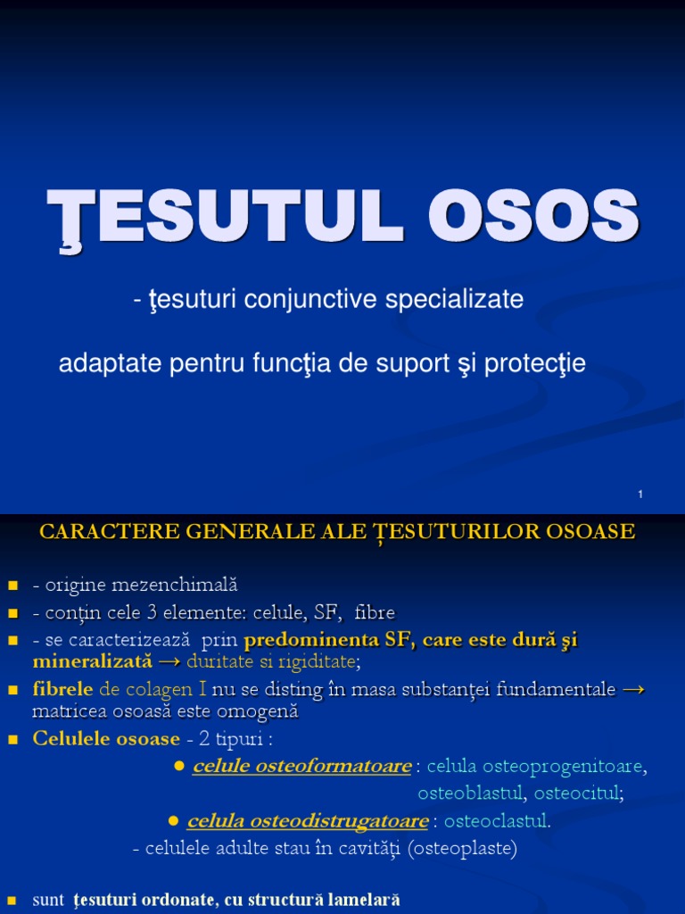 2012 Tesutul Osos | PDF