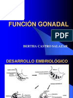 13.funcion Gonadal