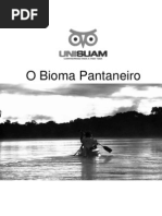 O Bioma Pantaneiro2