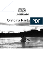 O Bioma Pantaneiro2