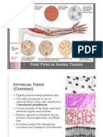 [BIO] 03 - Animal Tissues Crisologo