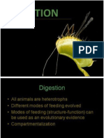 [BIO] 05 - Animal Digestion