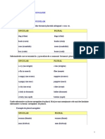 Gramatica Limbii Engleze Substantivele Pluralul Substantivelor