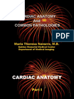Cardiac Anatomy and Common Pathologies
