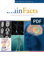 Brain Facts Book