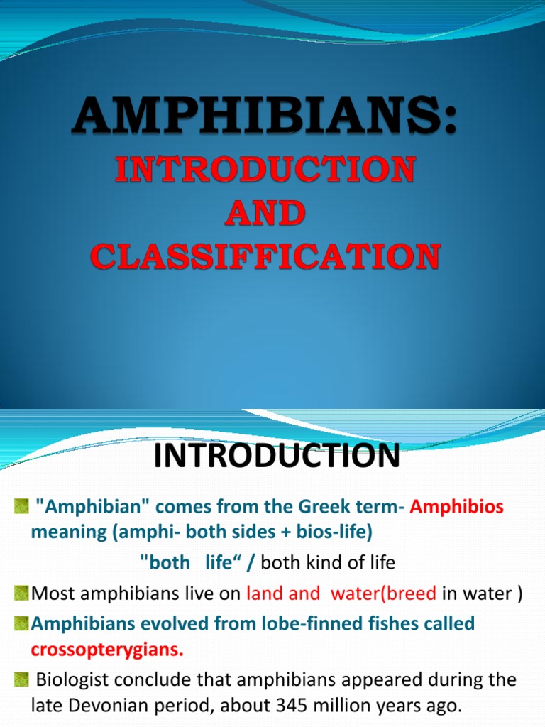 Classification of Amphibians Amphibian Frog