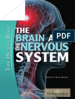 The Brain and The Nervous System (The Human Body)