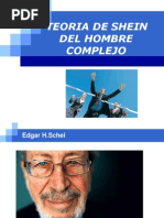 Teoria de Shein Del Hombre Complejo