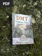 Download DMT Molekula Duszy - Rick Strassman THC szyszynka ebook - nauka hmonna by hmonna-offshore SN190031632 doc pdf