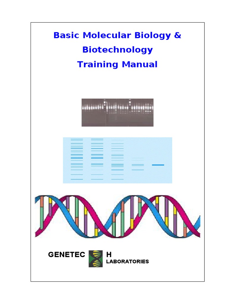 Molecular Biology & Biotechnology Manual | PDF | Gel Electrophoresis ...