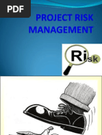 Lecture-6 Risk