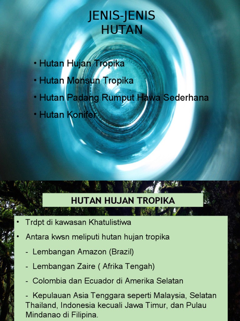 Geografi Jenis Jenis Hutan Pdf