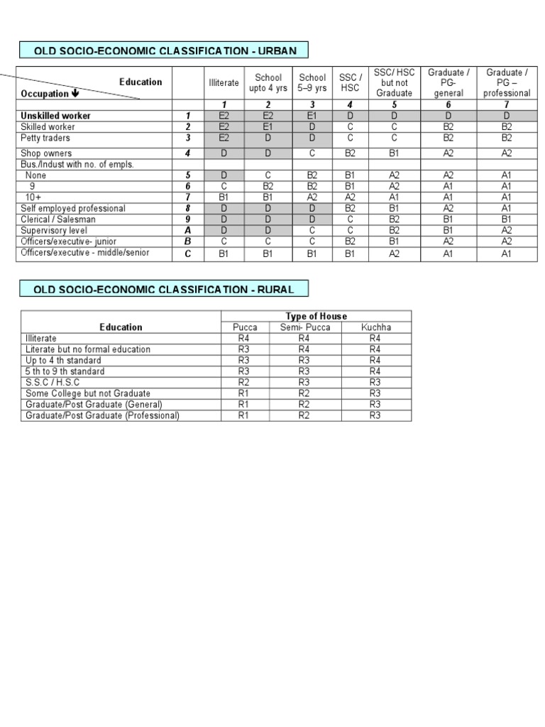 Socio-Economic Classification in India | PDF