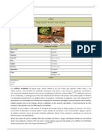 Amphibia PDF