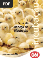 guia de manejo incubação