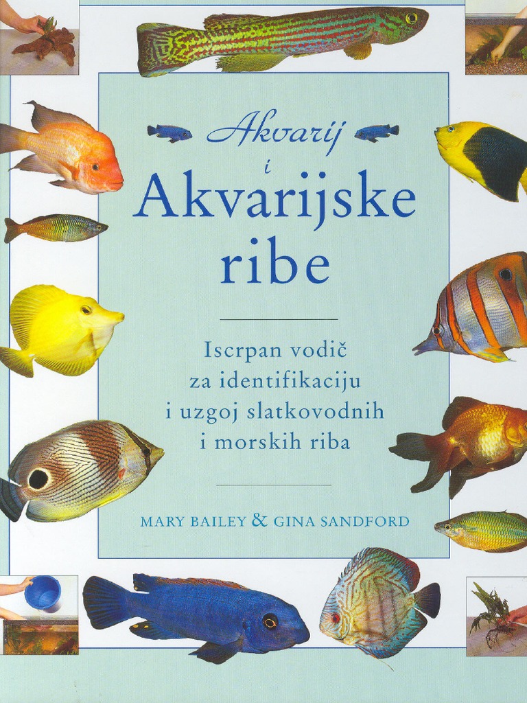 Akvarijum I Akvarijumske Ribice | PDF