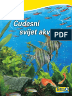 Cudesni Svet Akvarija