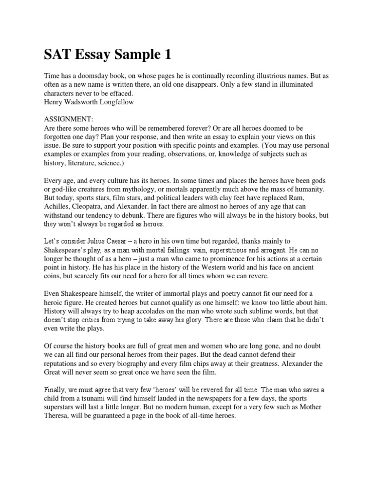 Essay on we can be heroes